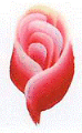 китайская ропись ногтей - роза